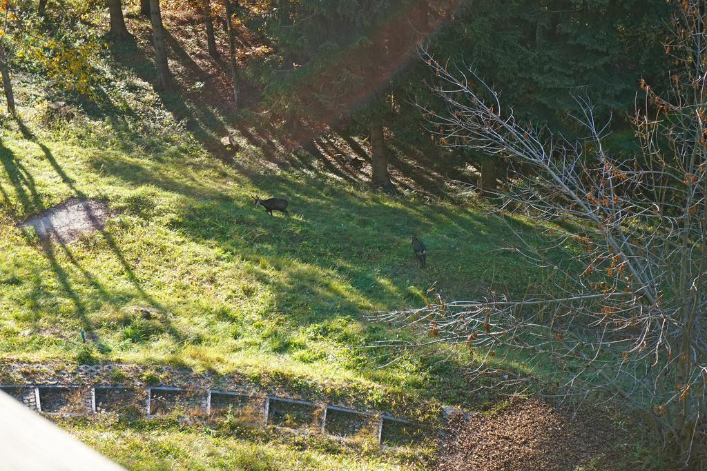 Domaine De La Croix De Javernaz Villars-sur-Ollon Eksteriør billede